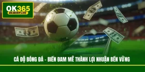 Cá Độ Bóng Đá - Biến Đam Mê Thành Lợi Nhuận Bền Vững